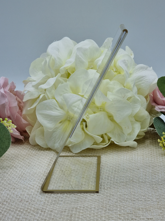 Bilderrahmen Acryl/gold