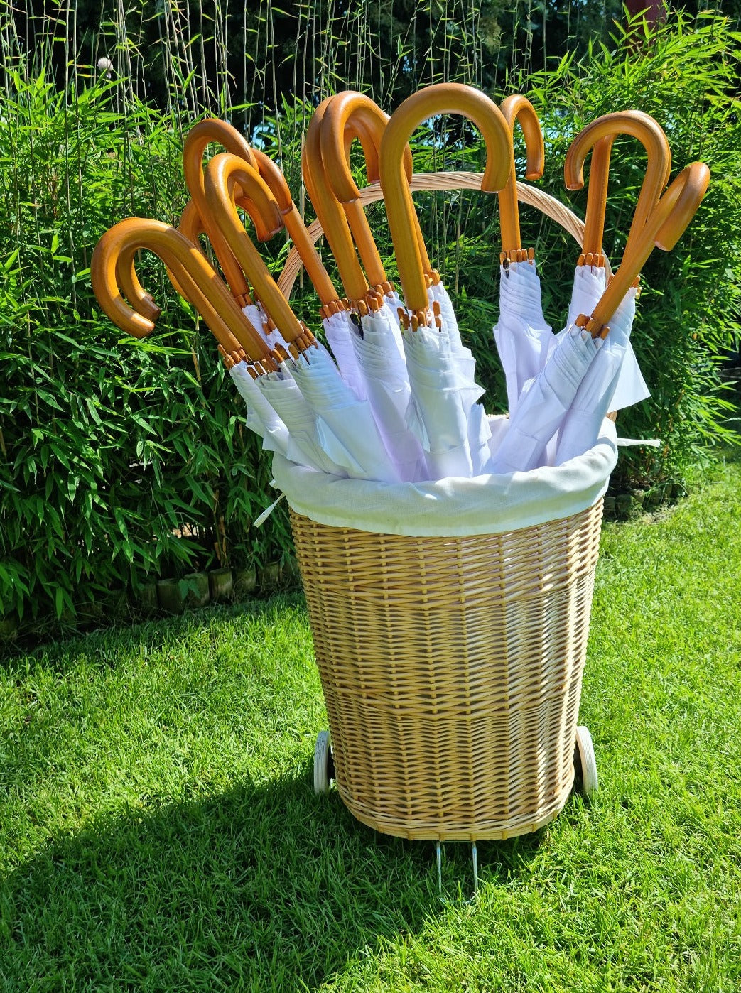 Regenschirmset Nicole